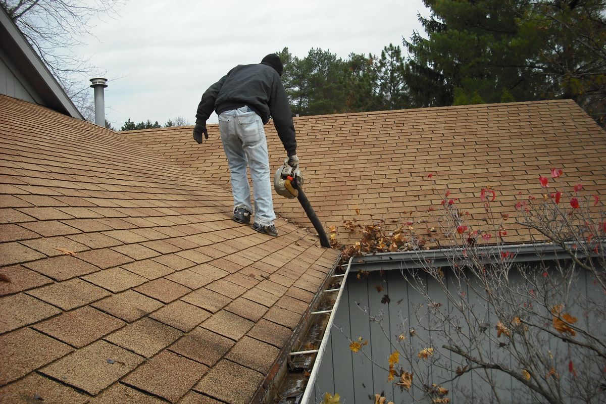 gutter cleaning